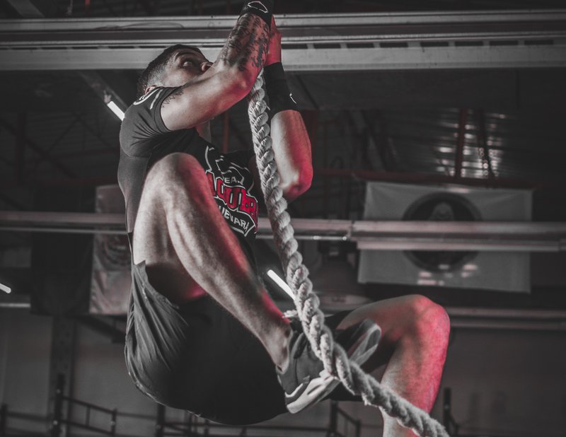 Track fitness performance data