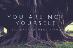 You Are Not Yourself: 222 Days of Meditation