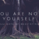 You Are Not Yourself: 222 Days of Meditation
