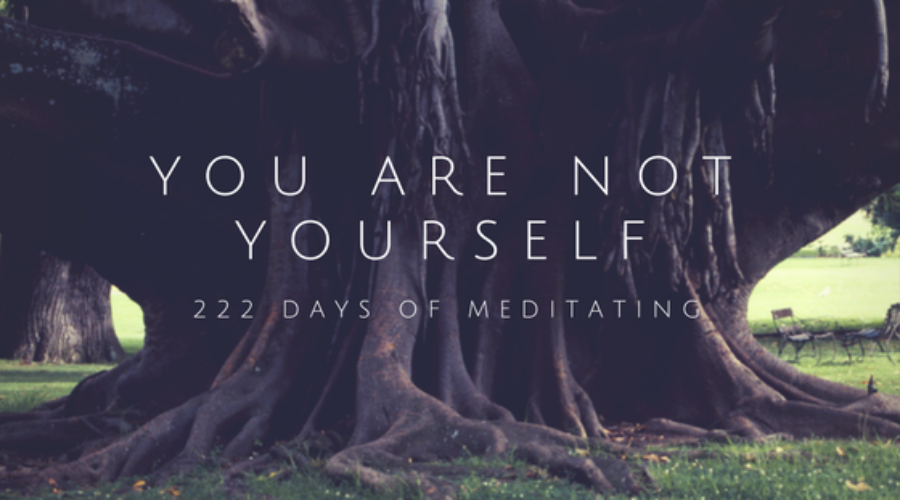 You Are Not Yourself: 222 Days of Meditation